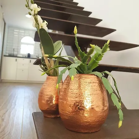 Lugar De La Luz Appartement